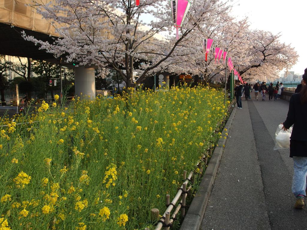 公寓 下町基地公寓 *